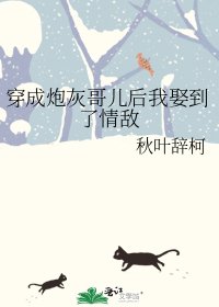 穿成炮灰哥兒後我娶到了情敵